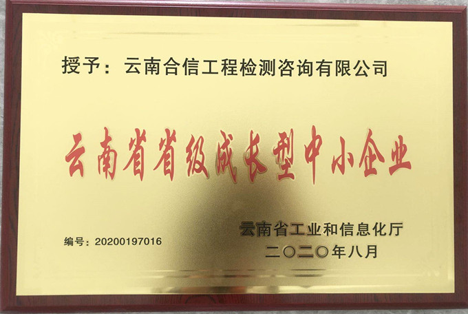 喜訊！國檢集團•云南合信公司又獲一榮譽